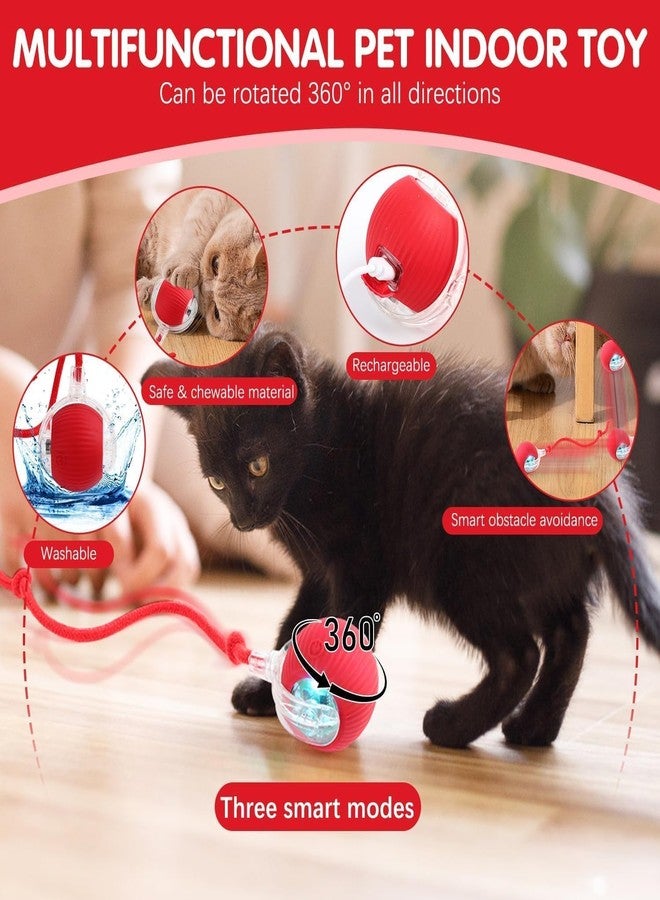 PRETOX Interactive Cat Toy - Cat Toys for Indoor Cats Smart Silicone Rolling Ball with Tail,Bird Sound,Obstacle Avoidance and Motion Activated,Kitten Puzzle Toys 1 PCS (Multicolor) - Image 4